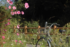 遊歩道の一コマ