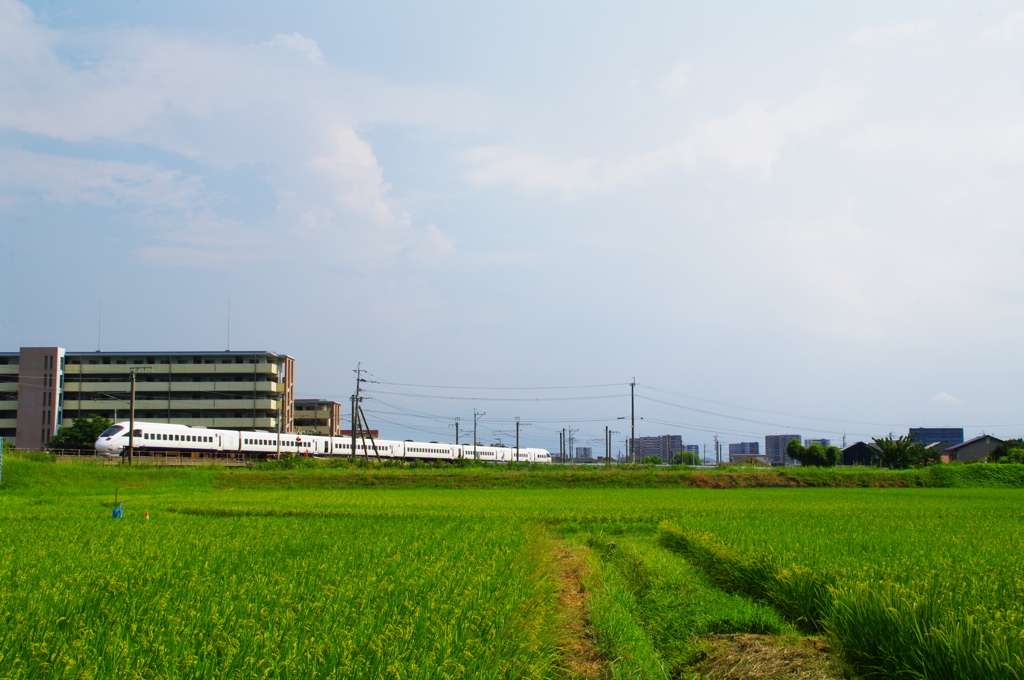 あの里まで駆けて