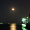眠らぬ夜の港より