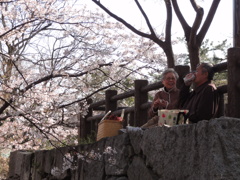 花見酒