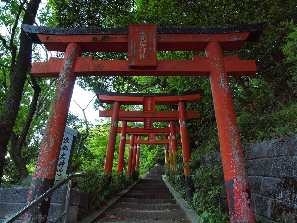 誘いの道へ