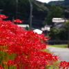 田園の散歩道