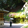 初夏の日和と、主の日傘と。