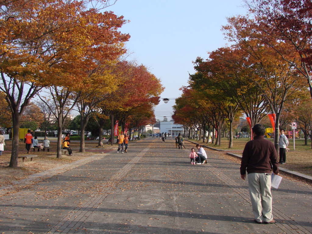 紅葉並木