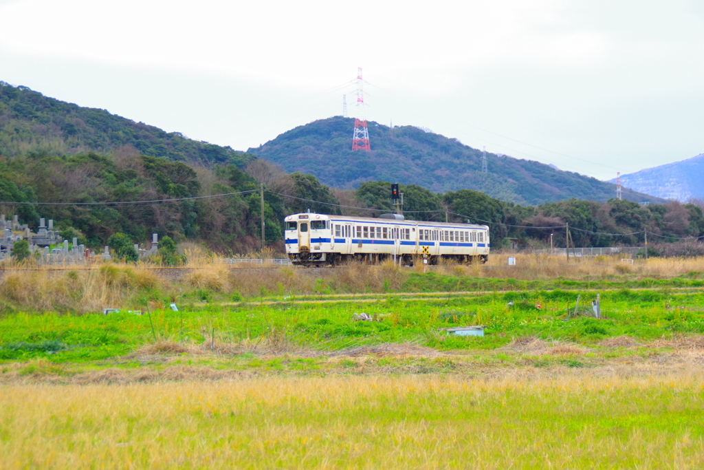 早春の田園小径