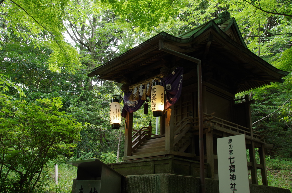静寂の杜