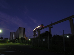 夜明けの公園