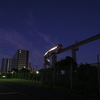 夜明けの公園