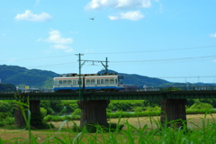 遠賀川の眺め