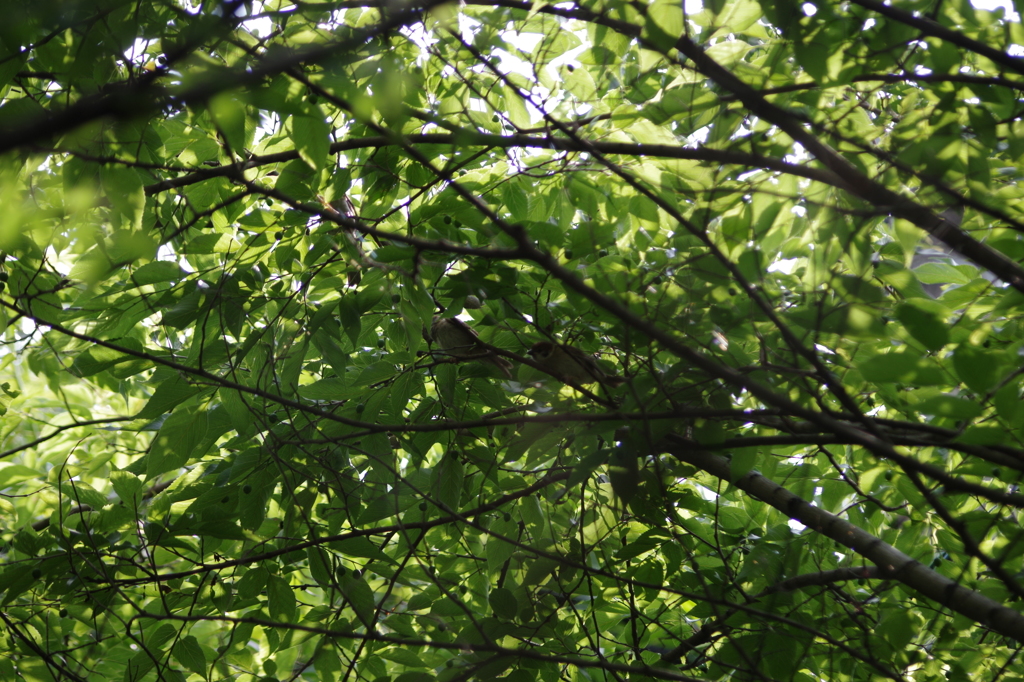 寄り添いながら