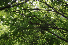 寄り添いながら