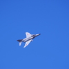 Phantom Fly High