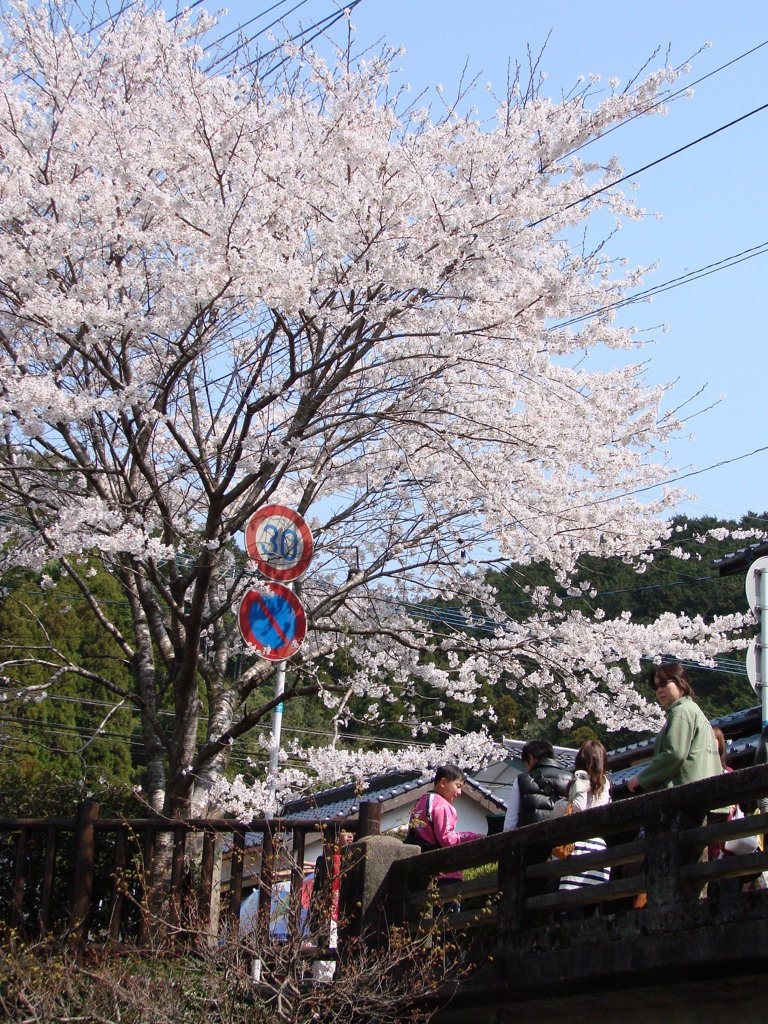 川の畔で