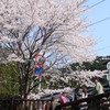 川の畔で