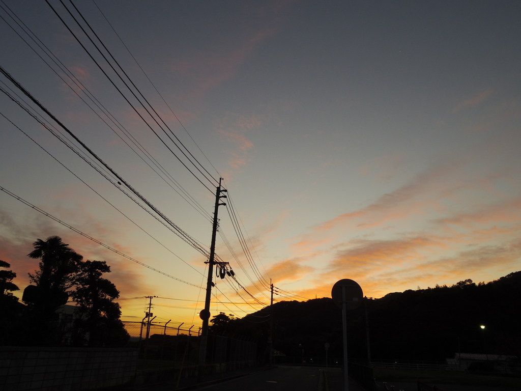 朝の散歩道