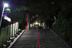 社に至る夜の小径
