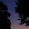 宵闇を見上げれば