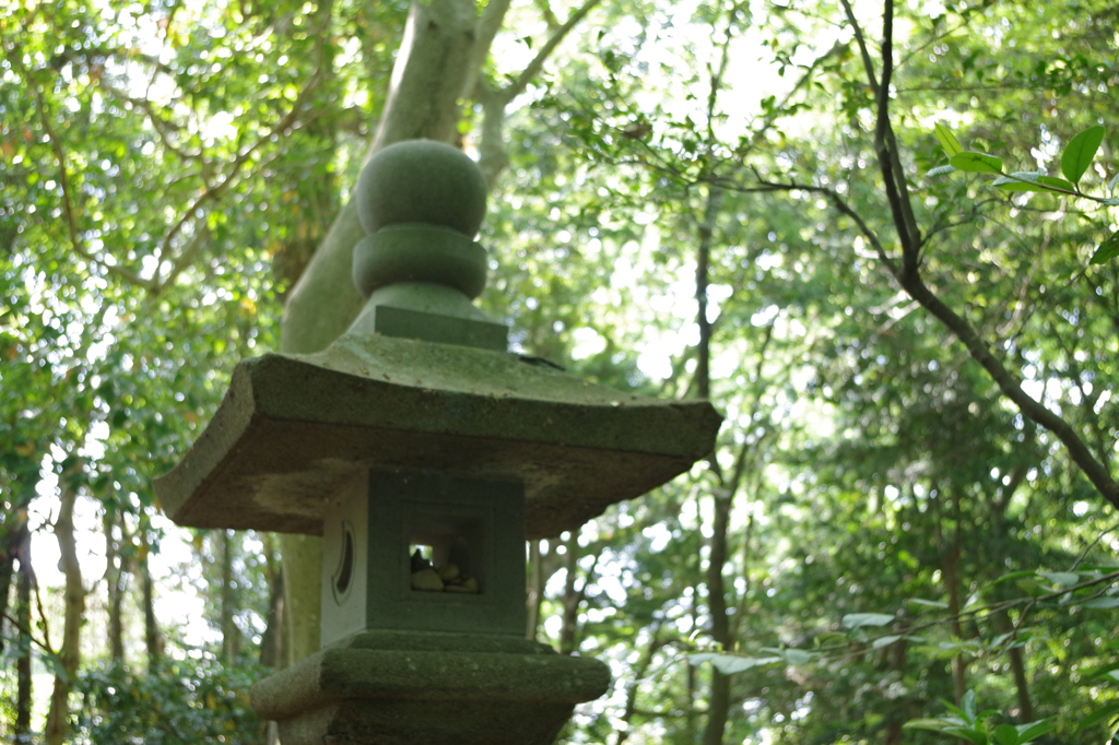 悠久の静寂