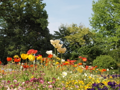 花爛漫