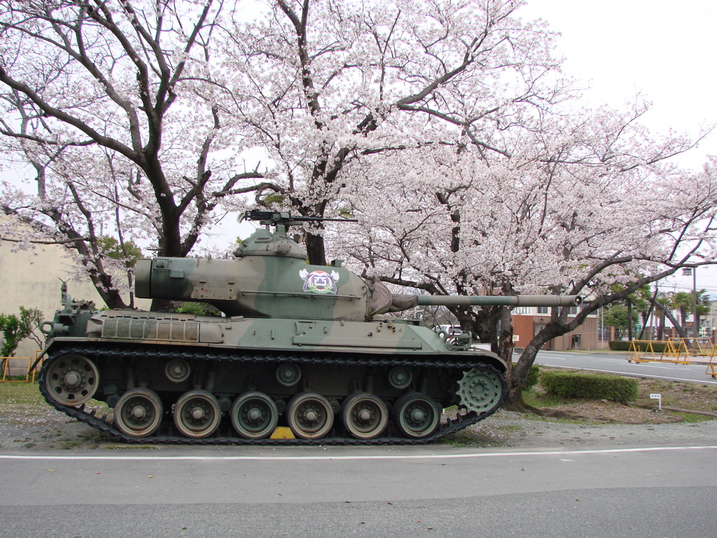61式戦車と桜