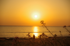 黄昏の空に、思いを馳せて