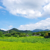 里の日和