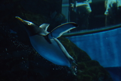 海底を往く