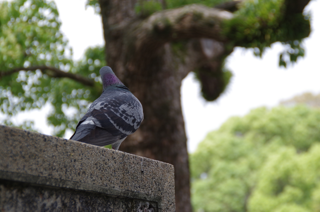 ん？