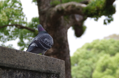 ん？