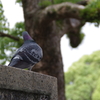 ん？