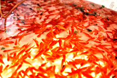 魚群