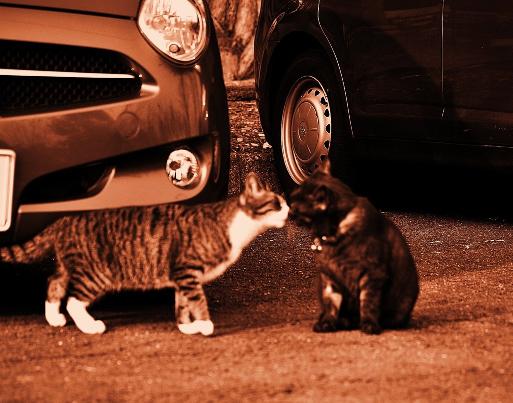 kiss
