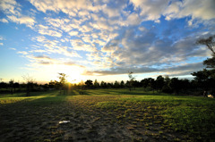公園