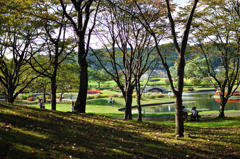 木陰