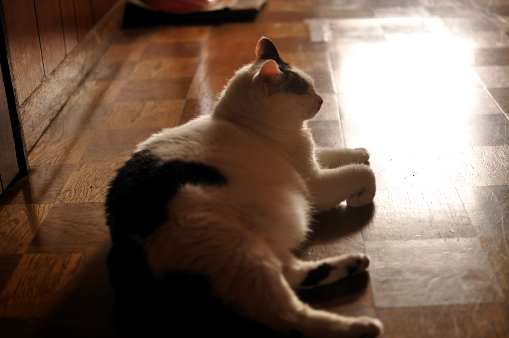 Zzz。