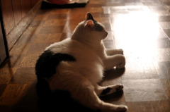 Zzz。