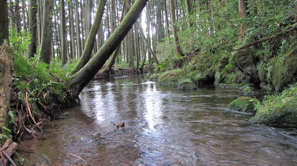 牛渡川201010