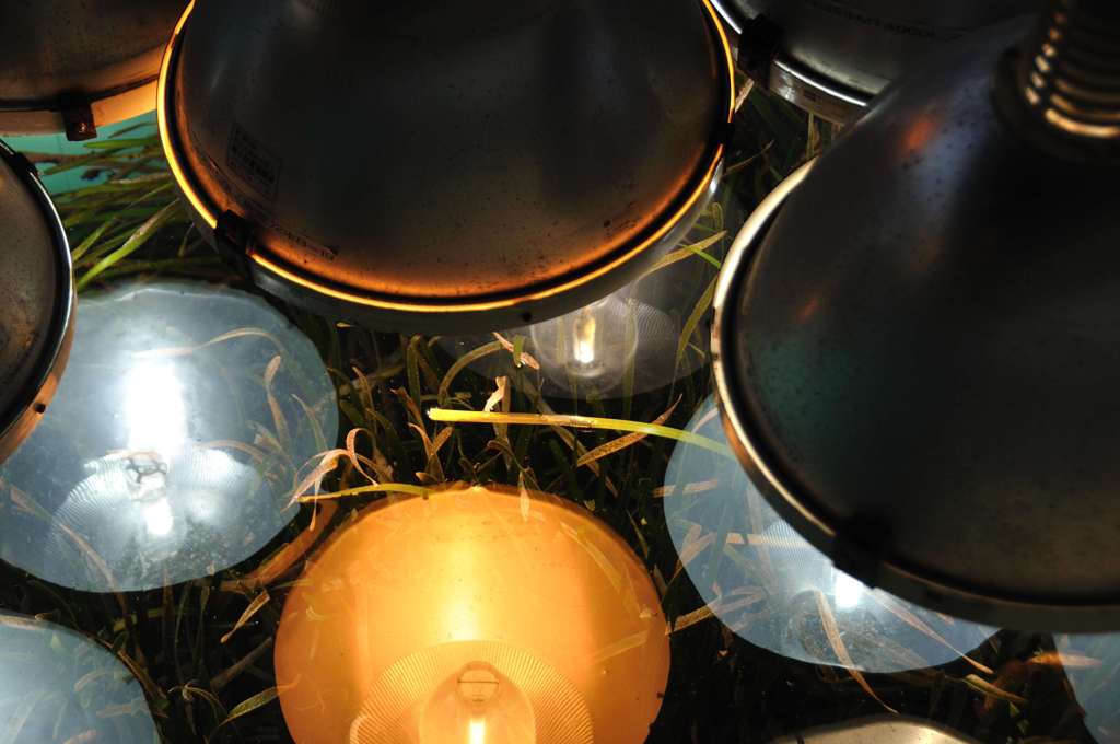 153