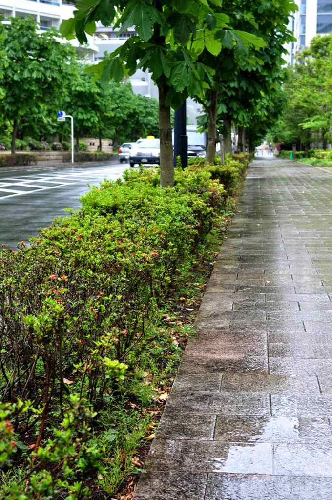 雨×みなとみらい
