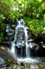 河津七滝