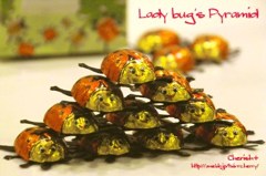 Lady bug's Pyramid