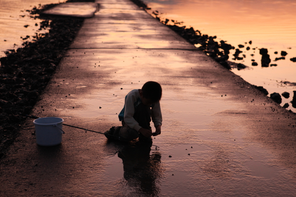 夕暮れ、さかな釣り