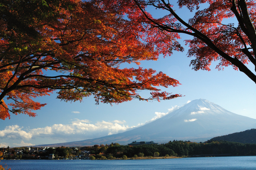 河口湖もみじトンネル