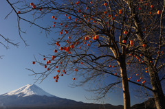 柿と富士山
