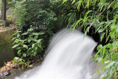 DSC05346