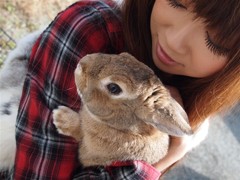 うさぎとわたし