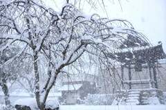 雪の境内