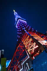 _MG_1203-2
