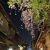 祇園の彩り