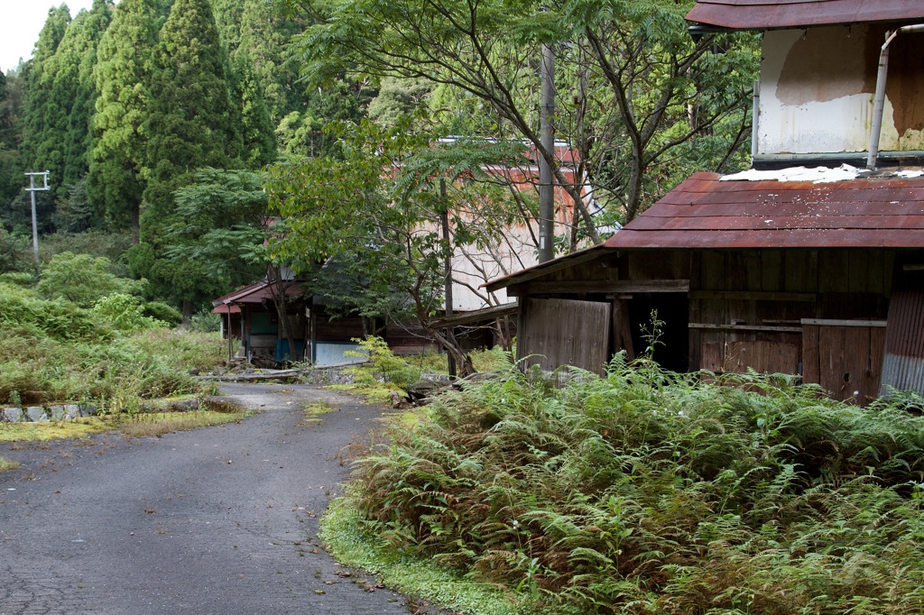 廃村永谷地区